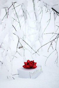 77_s